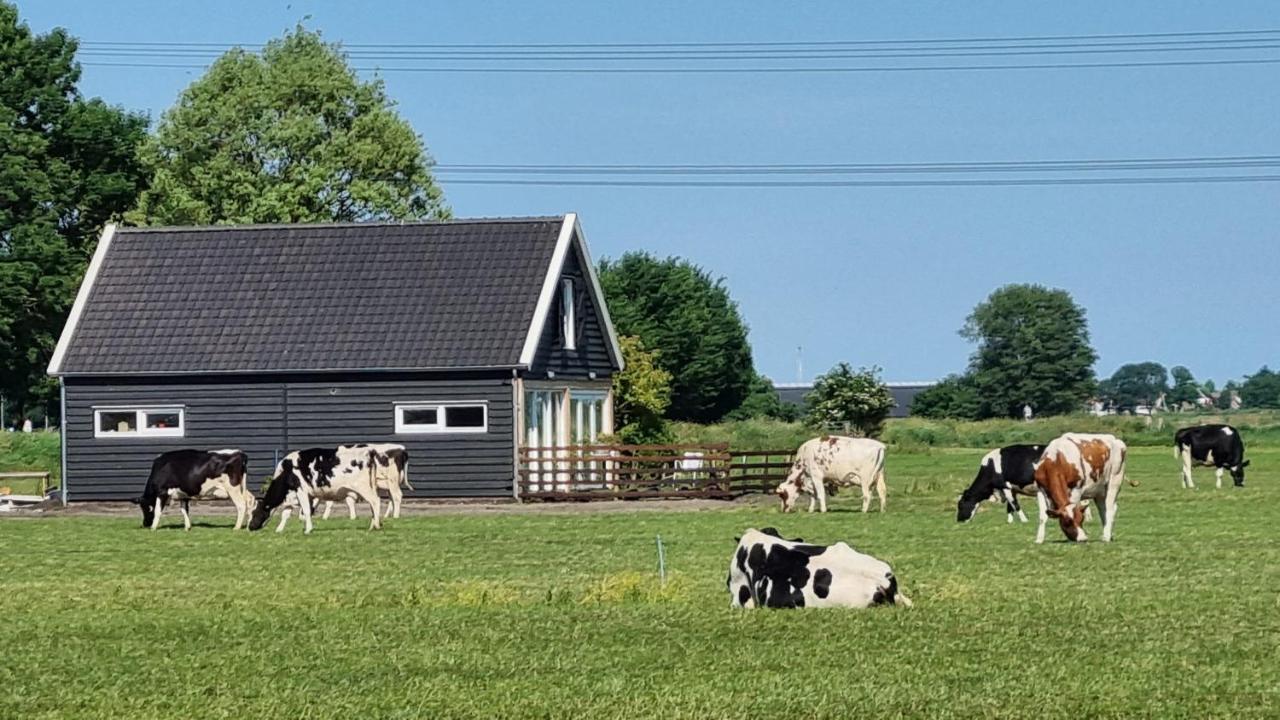 City Farmers Lodge, A Guesthouse With A Skyline View In Rural Amesterdão Exterior foto